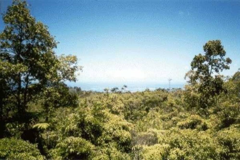 3300 KAIWIKI RD Land for Sale in HILO 652165 Denise Nakanishi