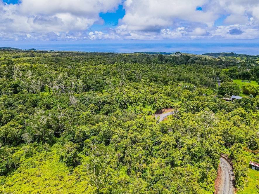 3300 KAIWIKI RD Land for Sale in HILO 652165 Denise Nakanishi
