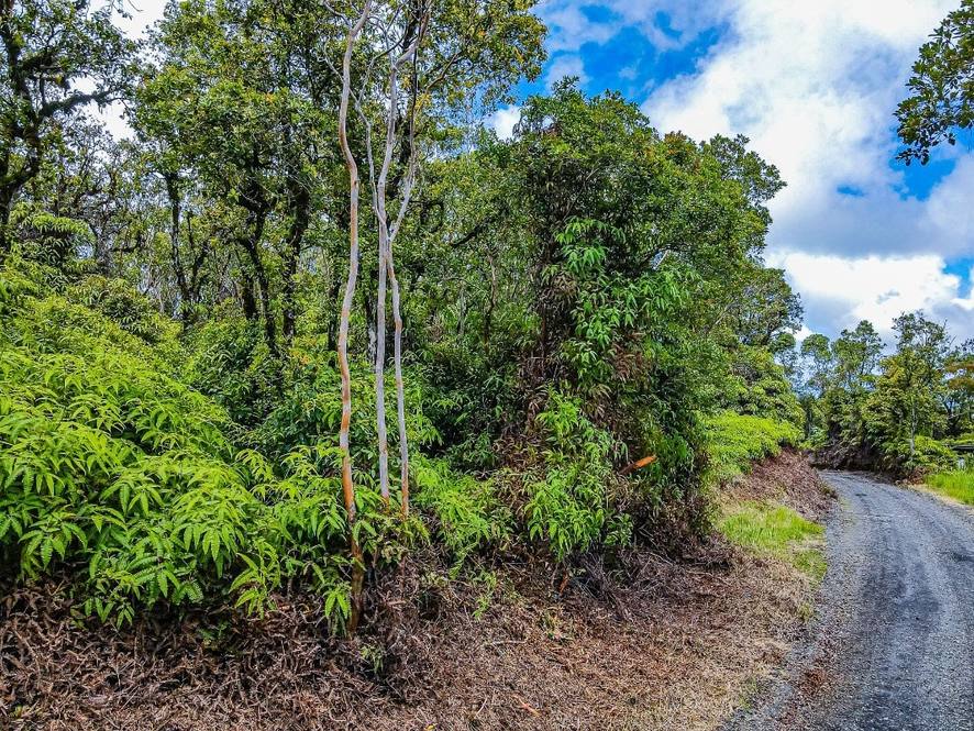 3300 KAIWIKI RD Land for Sale in HILO 652165 Denise Nakanishi