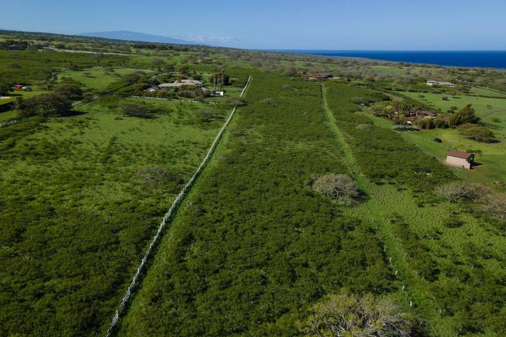 563014 PUAKEA DR Land for Sale in HAWI 652636 Beth Thoma