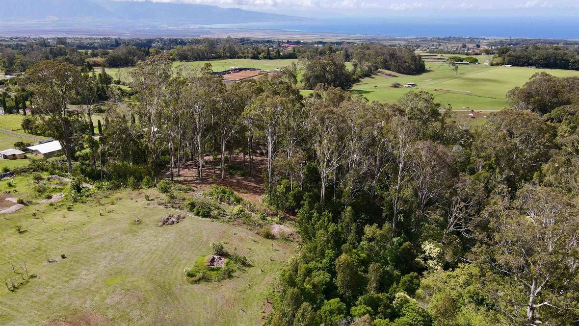 645 Olinda Rd Unit A Land for Sale in Makawao 393410 Liam Ball