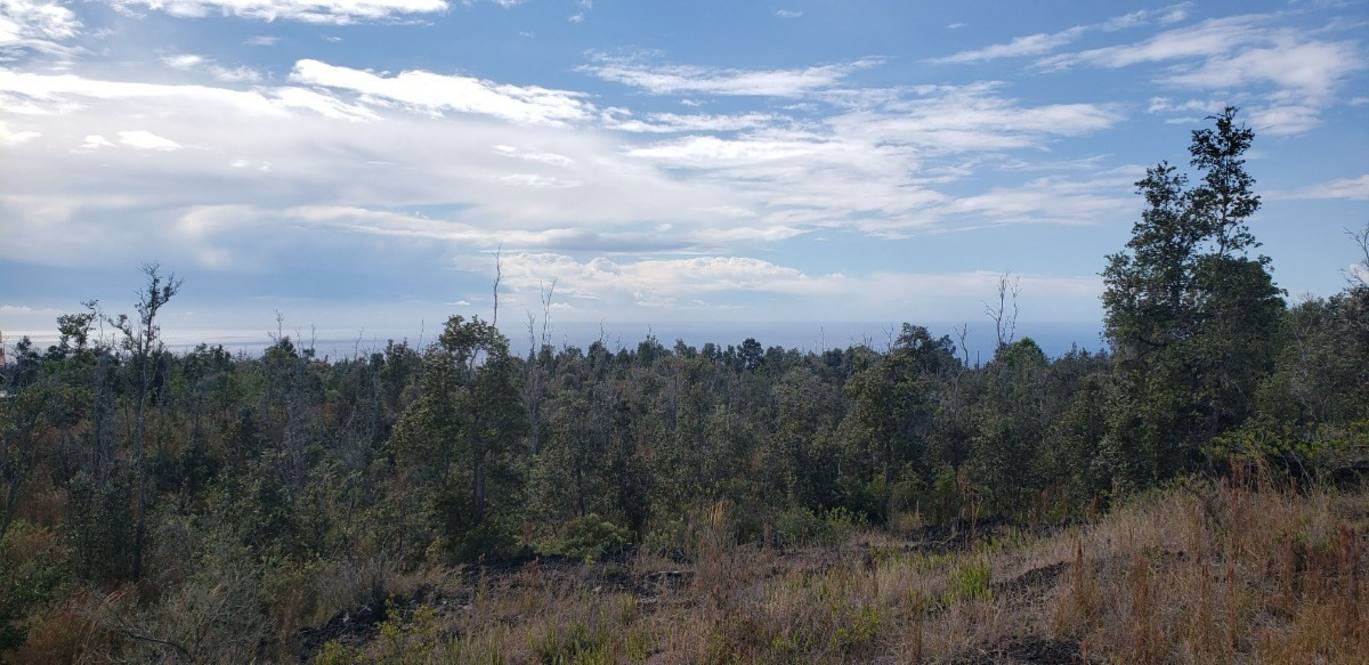 92 9021 Iolani Ln Land For Sale In Ocean View 656512 Hawaii Life