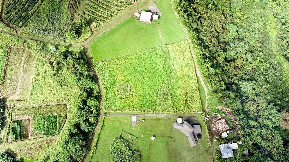 Land for Sale in Papaikou 656690 Hawaii Life