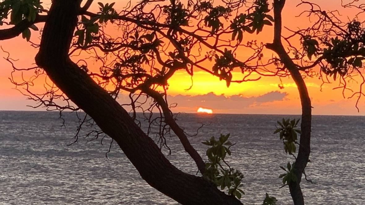 64-1056-mamalahoa-hwy-for-sale-in-kamuela-656714-hawaii-life