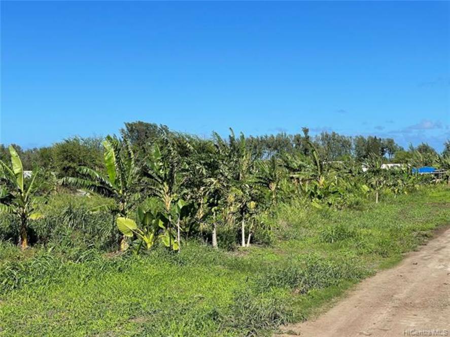 68670 Farrington Highway 12 Land for Sale in Waialua 202132021