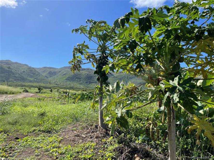 68670 Farrington Highway 12 Land for Sale in Waialua 202132021