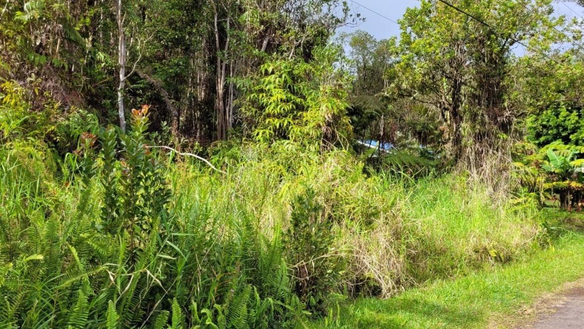 ROAD 8 Land for Sale in VOLCANO 657368 Grace Reinhard Hawaii Life