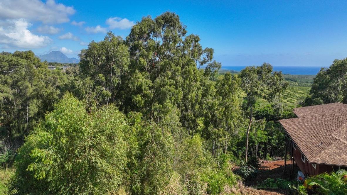 KUA AINA ST Land for Sale in KALAHEO 657766 Meg Stouder Hawaii Life