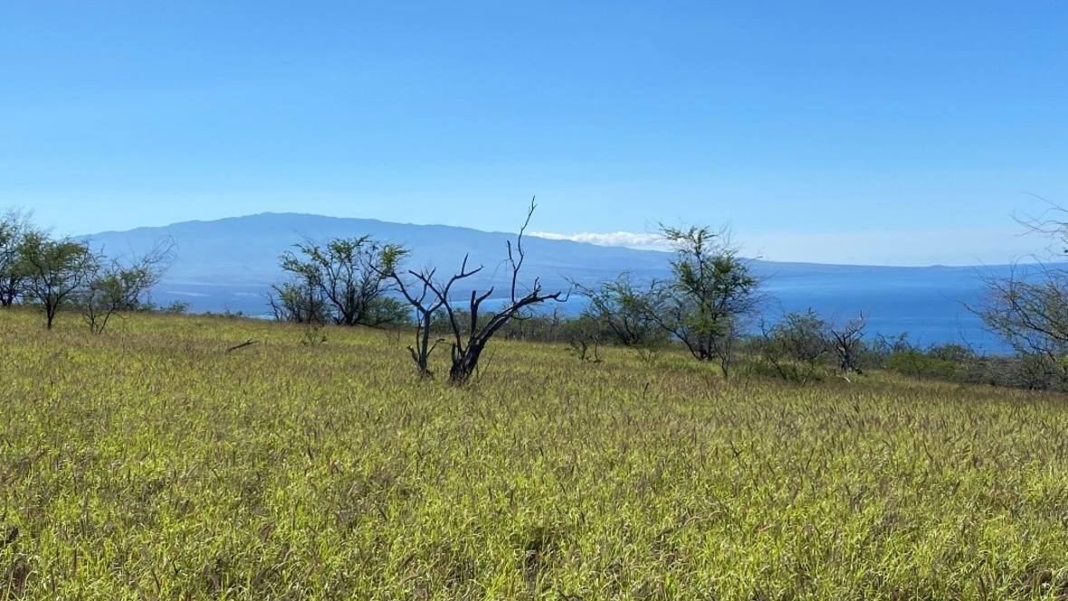 59639 HOOPAI TRAIL Land for Sale in Kamuela 654785 Mike Despard