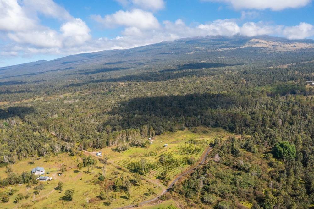 Land for Sale in Holualoa 657719 Hawaii Life