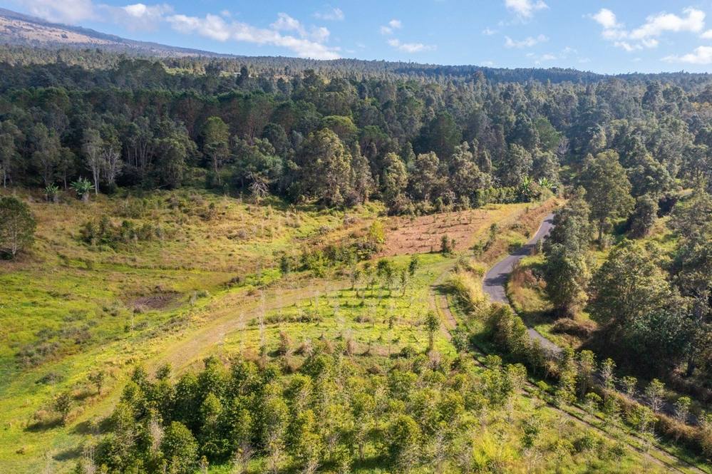 Land for Sale in Holualoa 657719 Hawaii Life