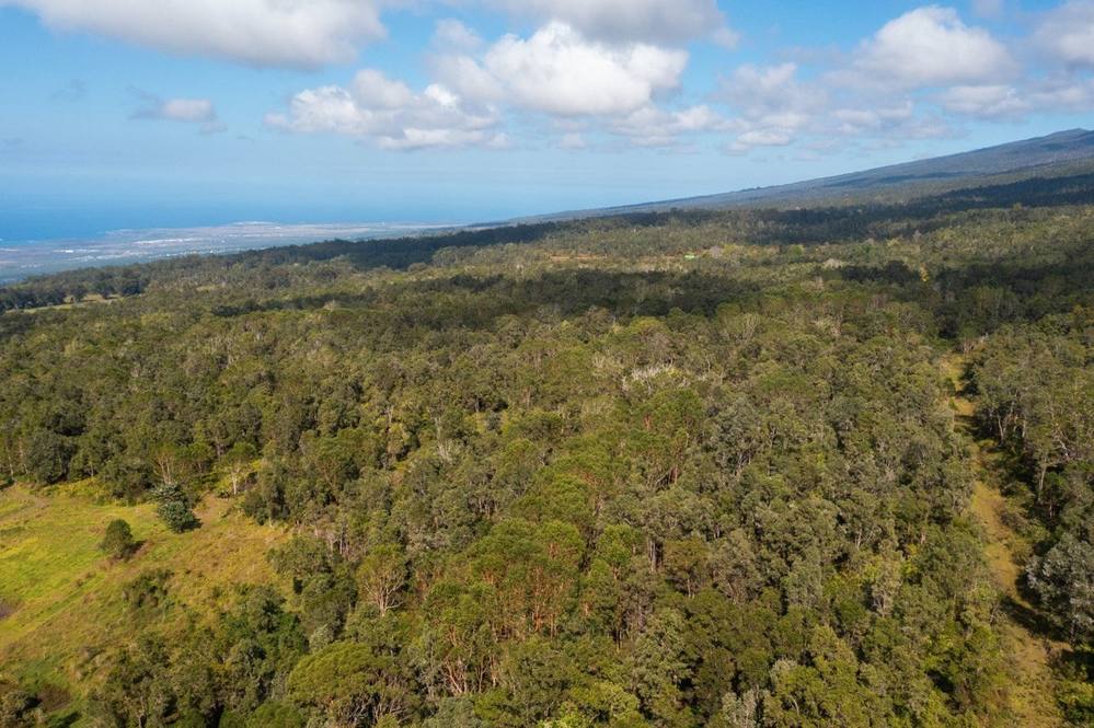 Land for Sale in Holualoa 657719 Hawaii Life