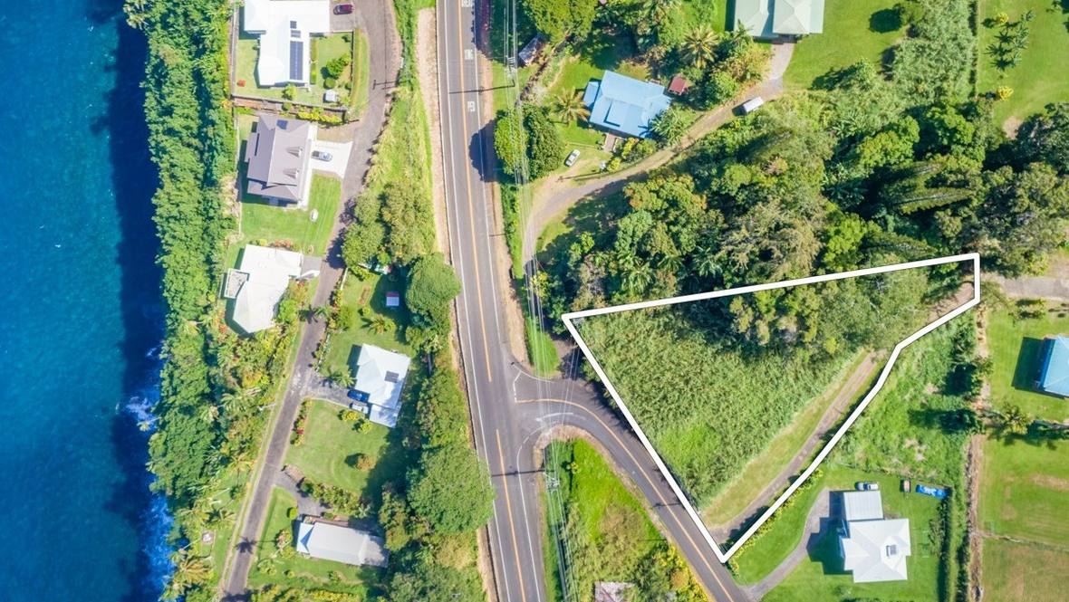 36103 MANOWAIOPAE HOMESTEAD RD Land for Sale in LAUPAHOEHOE 658192