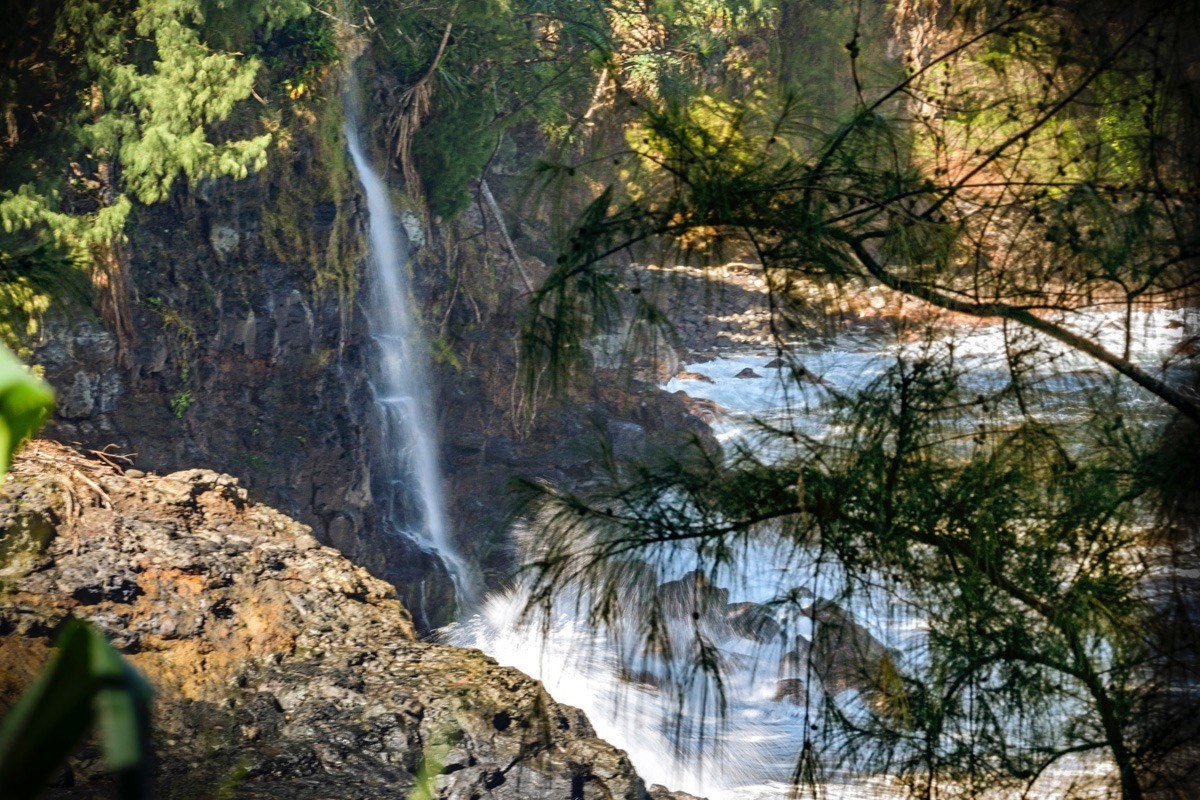 Hamakua Coast Waterfall