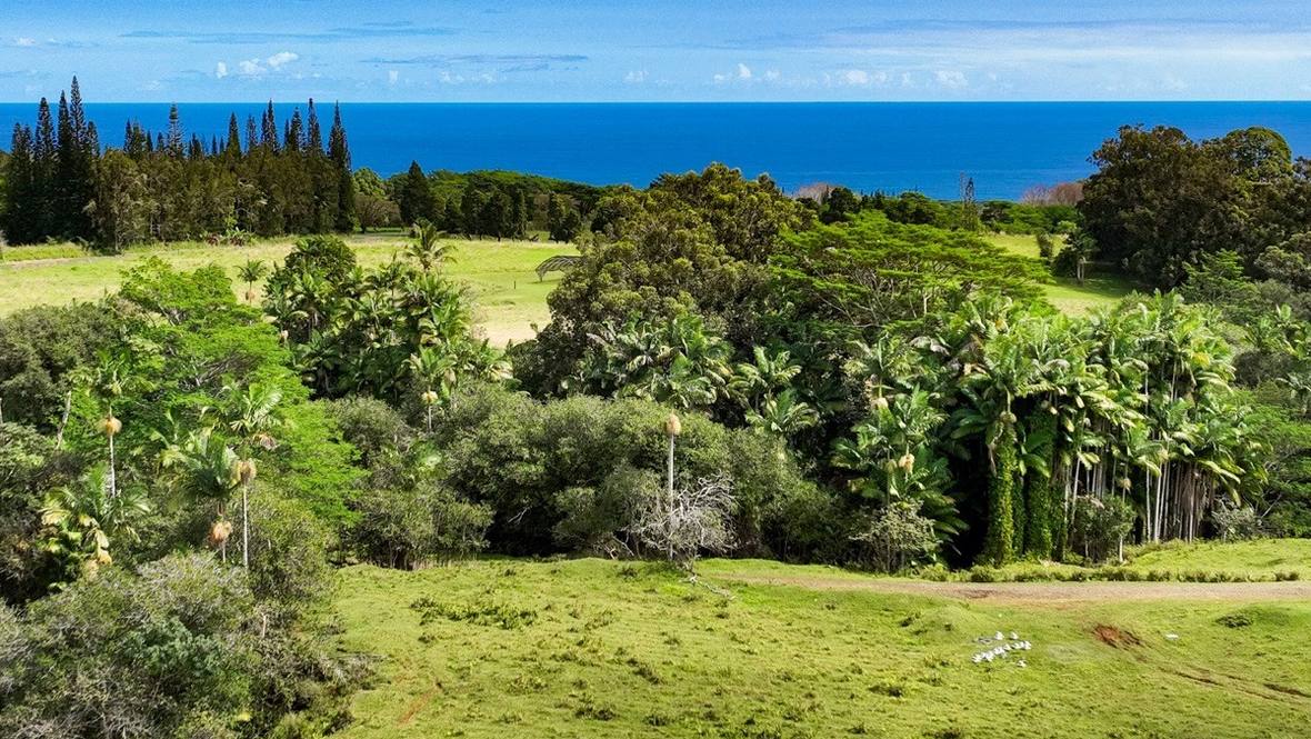Land for Sale in Hakalau 659247 Denni K Keyes Hawaii Life