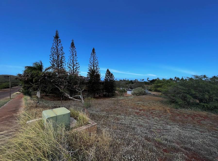 30 Kaiaka Rd 82 Land for Sale in Maunaloa 395043 Hawaii Life