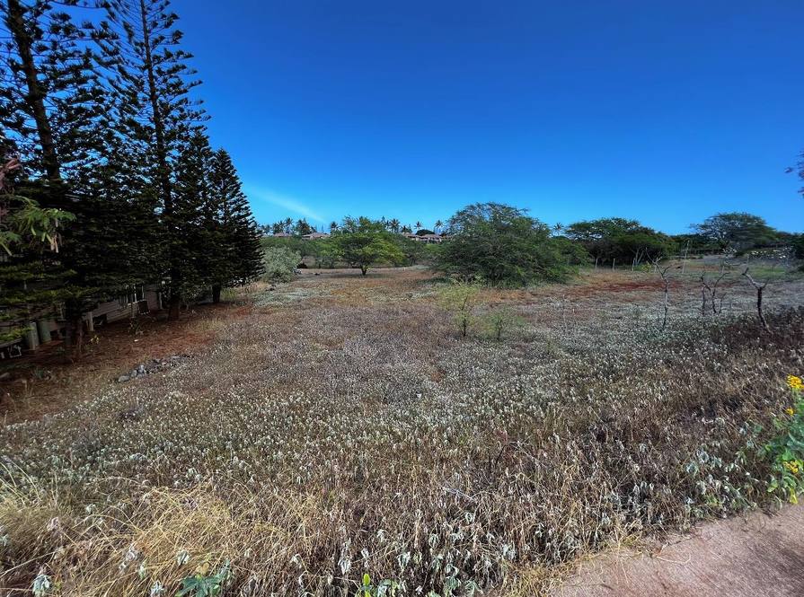 30 Kaiaka Rd 82 Land for Sale in Maunaloa 395043 Hawaii Life