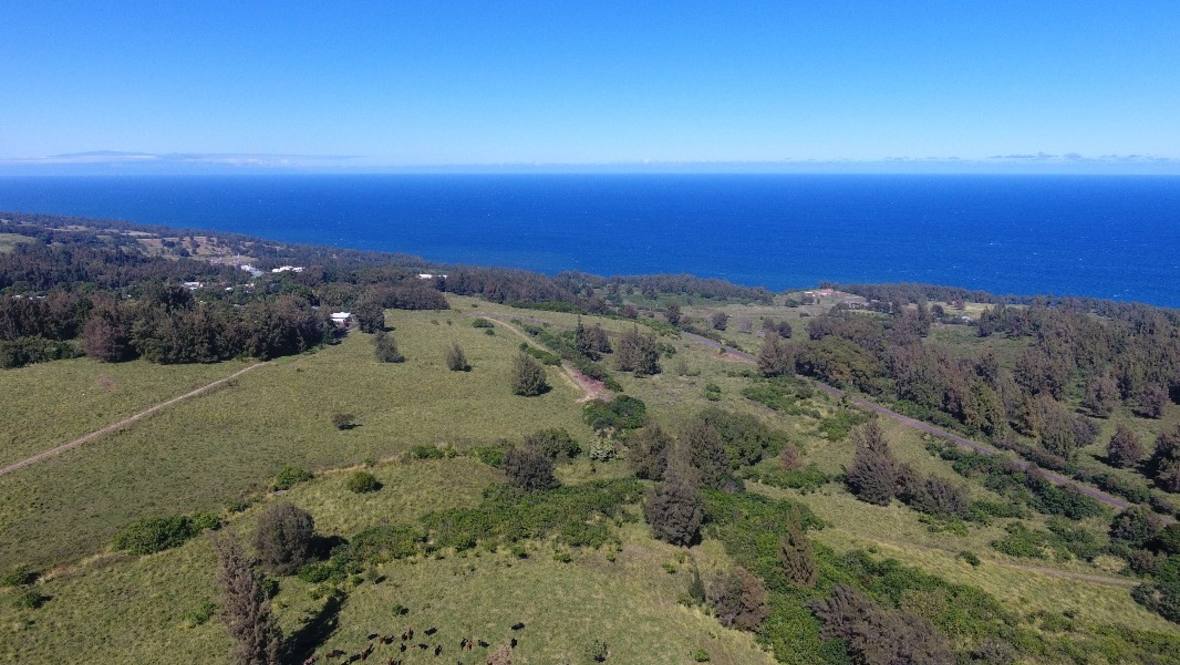 45433 MAILE ST Land for Sale in HONOKAA 660718 Jim Allison