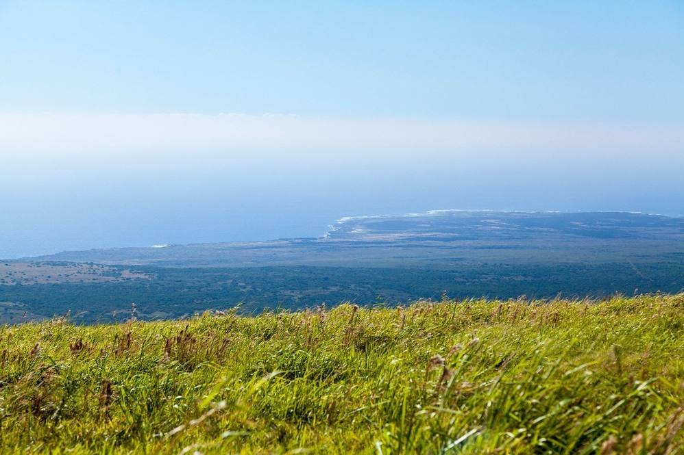 Mountain House Rd Land for Sale in Naalehu 661071 Hawaii Life