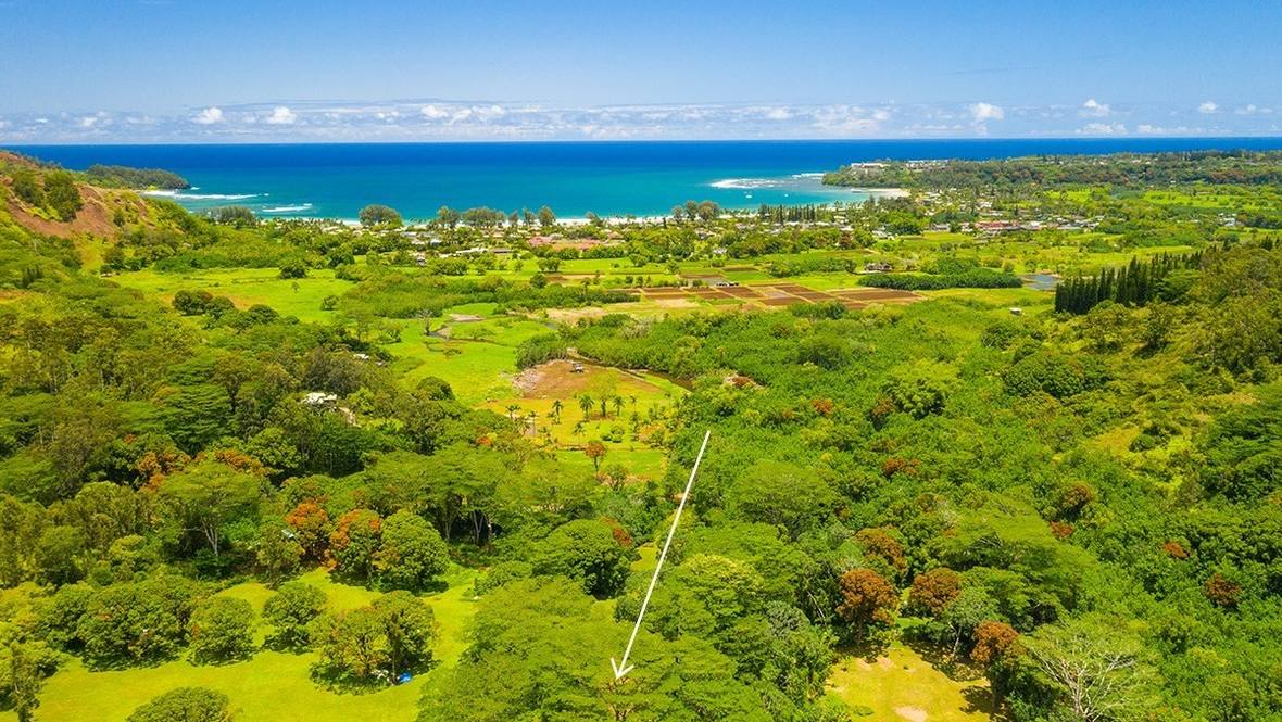 Land for Sale in Hanalei 660696 Gabriela DaLuz Hawaii Life