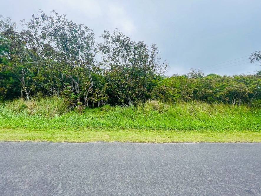 LEWA LANI ST Land for Sale in NAALEHU 661497 Bronson Domen