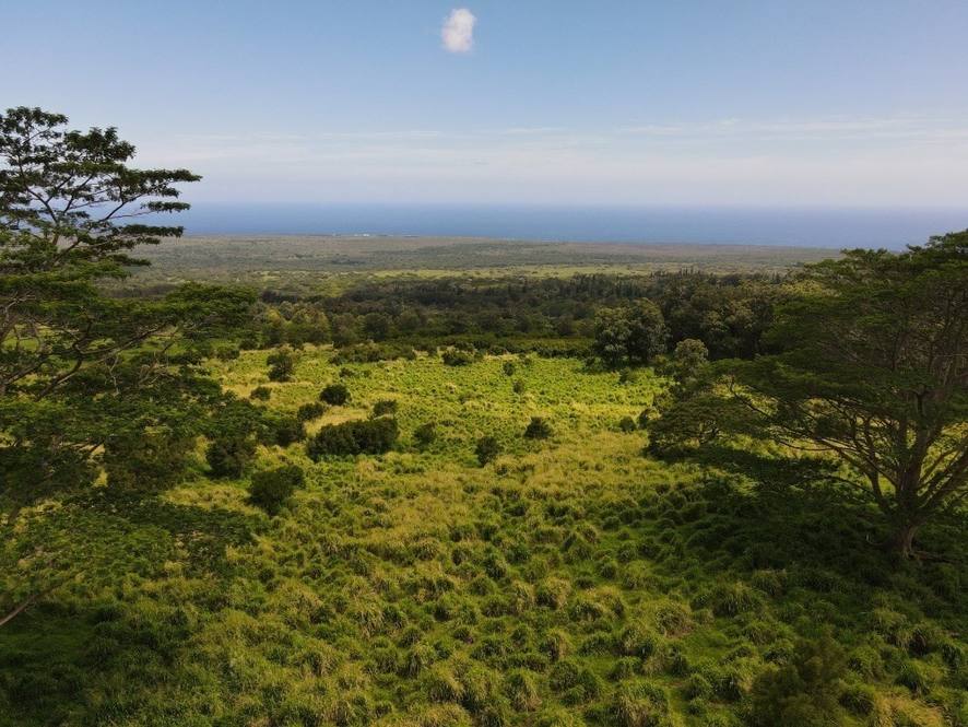 Land for Sale in Pahala 661584 Denise Nakanishi Hawaii Life