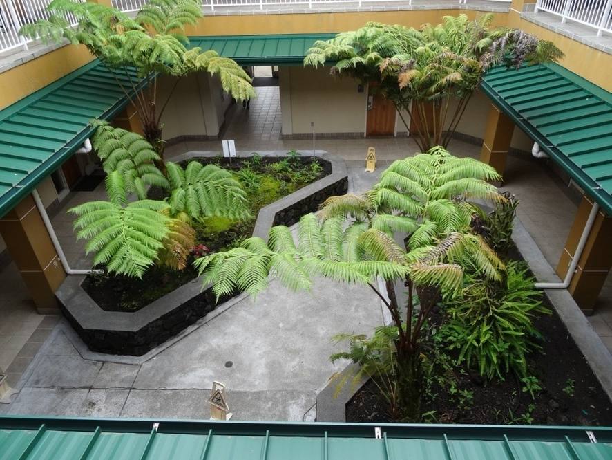 82 PUUHONU PL 203 Commercial for Sale in HILO 660309 Hawaii Life