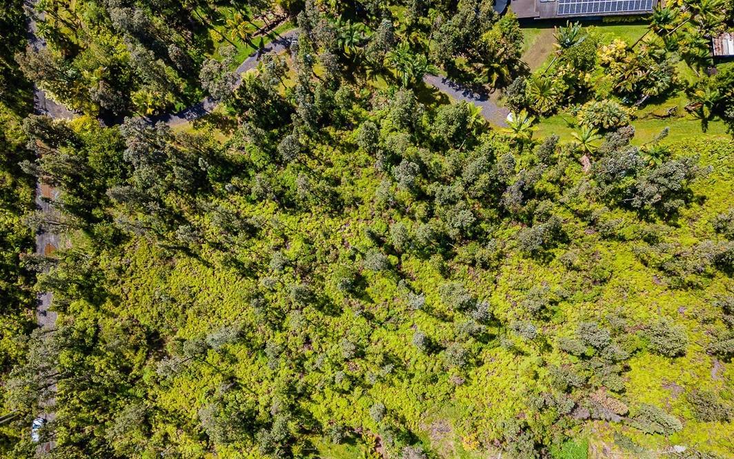 AO RD (ROAD 2) Land for Sale in MOUNTAIN VIEW 661749 Denise