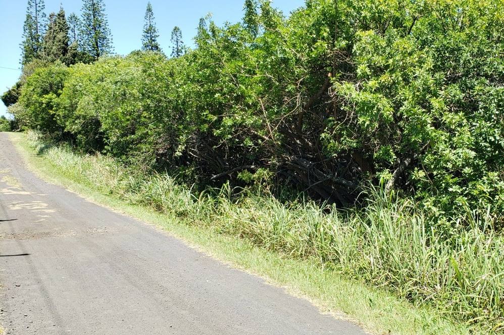 KAI KANE LP Land for Sale in NAALEHU 661981 Bruce Pratt Hawaii Life