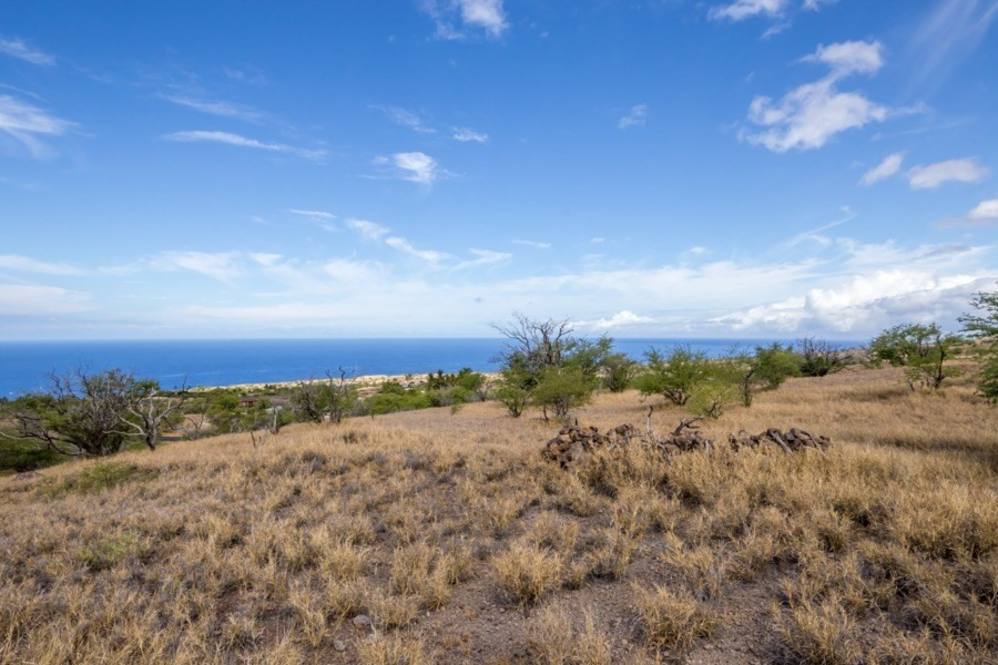 Land for Sale in KAMUELA 661529 Erika Stuart Hawaii Life