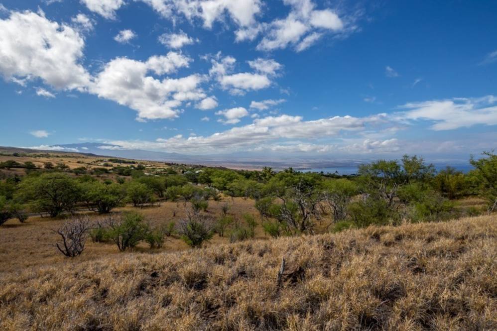 Land for Sale in KAMUELA 661529 Erika Stuart Hawaii Life