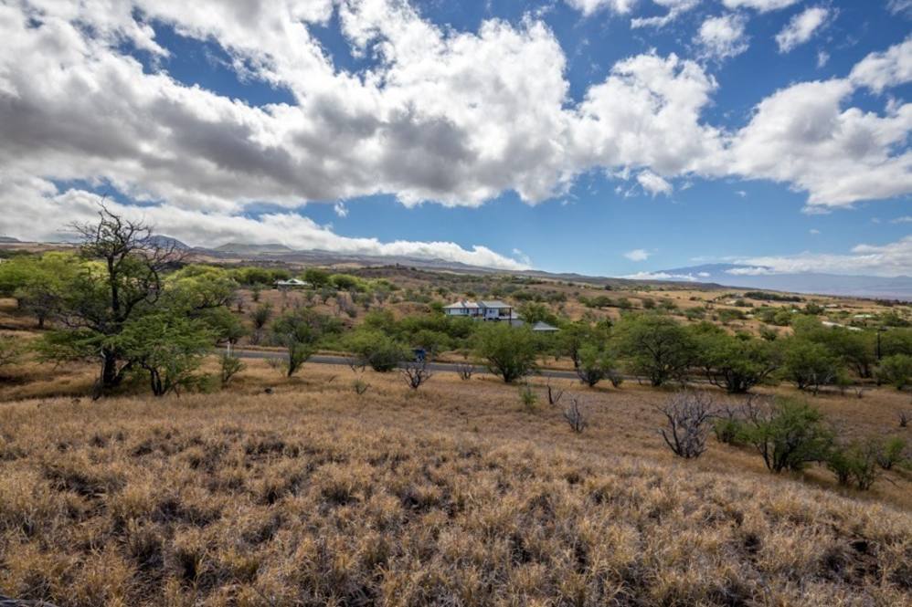 Land for Sale in KAMUELA 661529 Erika Stuart Hawaii Life