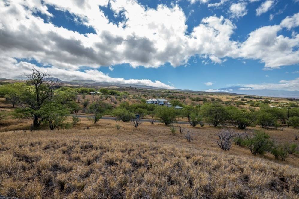 Land for Sale in KAMUELA 661529 Erika Stuart Hawaii Life