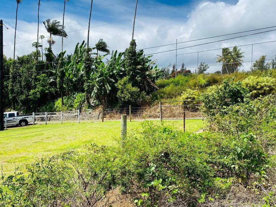 Ho'olokahi Land for Sale in HONOKAA 662774 Renee Hill Hawaii Life