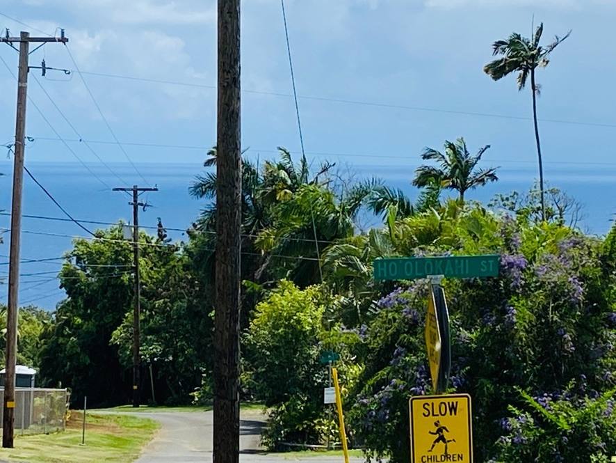 Ho'olokahi Land for Sale in HONOKAA 662774 Renee Hill Hawaii Life