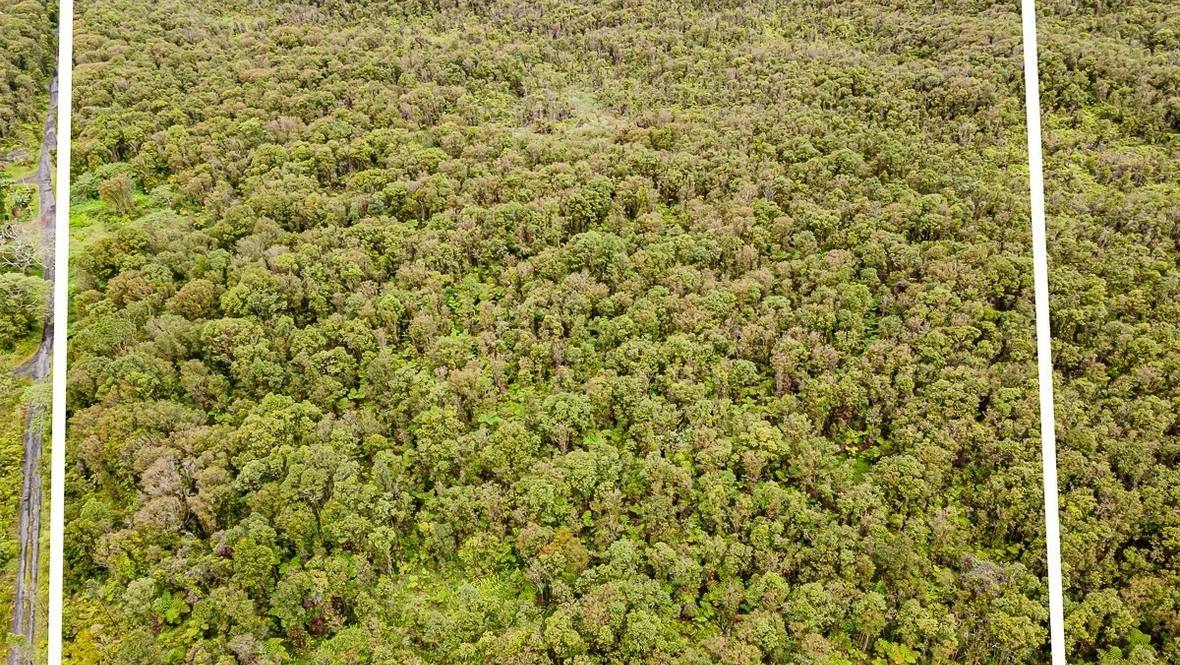 Land for Sale in VOLCANO 662852 Denise Nakanishi Hawaii Life