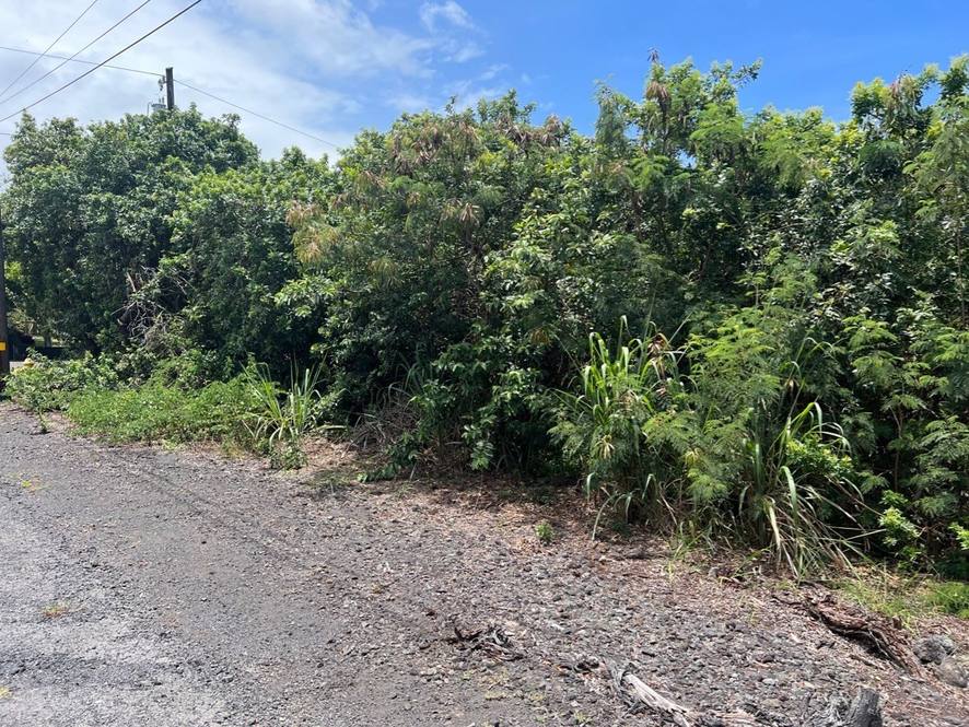 945770 HUNE KAI STREET Land for Sale in NAALEHU 663309 Hawaii Life