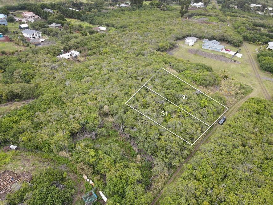 946521 KEKUHAUPIO RD Land for Sale in NAALEHU 663621 Cerise