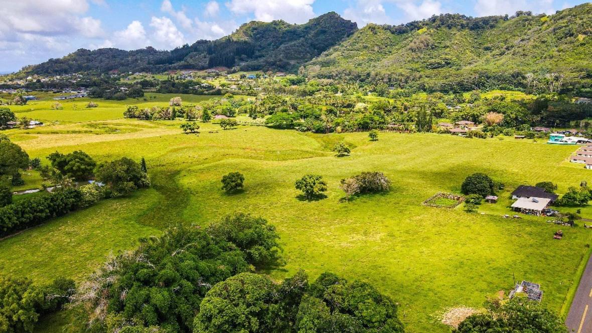 OPAEKAA RD Land for Sale in KAPAA 663434 Darian Peralta Hawaii Life