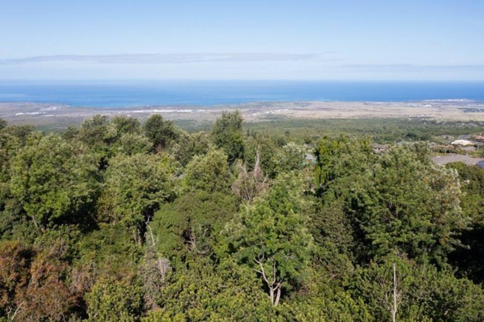 Land for Sale in KAILUAKONA 663568 Zion Nicholson Hawaii Life