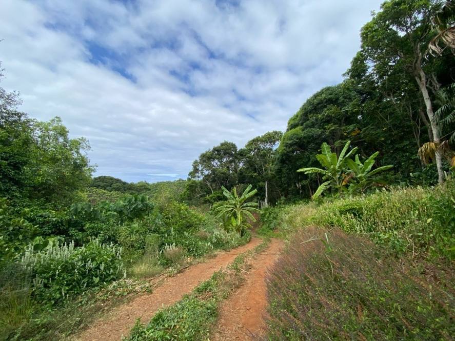 KAHUMOKU RD #4 Image 2