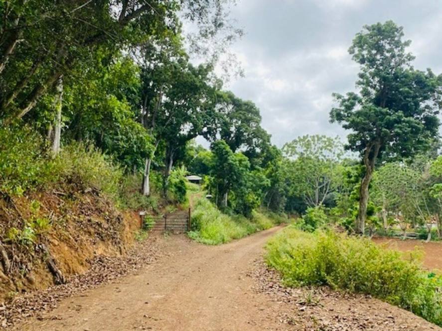 KAHUMOKU RD #4 Image 3