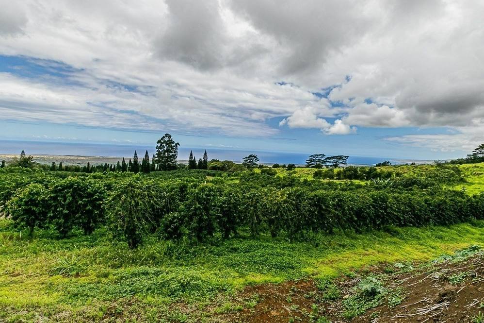 Lot 46 Moa'ula Land for Sale in Pahala 663881 Denise Nakanishi