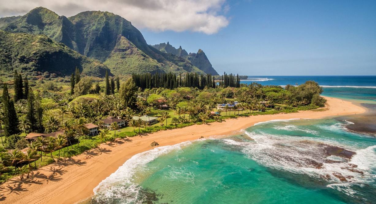 7276 ALAMOO RD Image 7