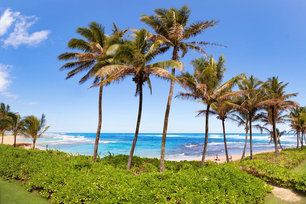 7276 ALAMOO RD Image 19