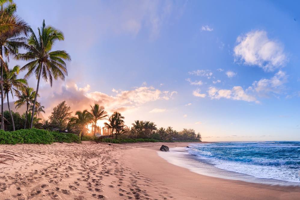 7276 ALAMOO RD Image 23