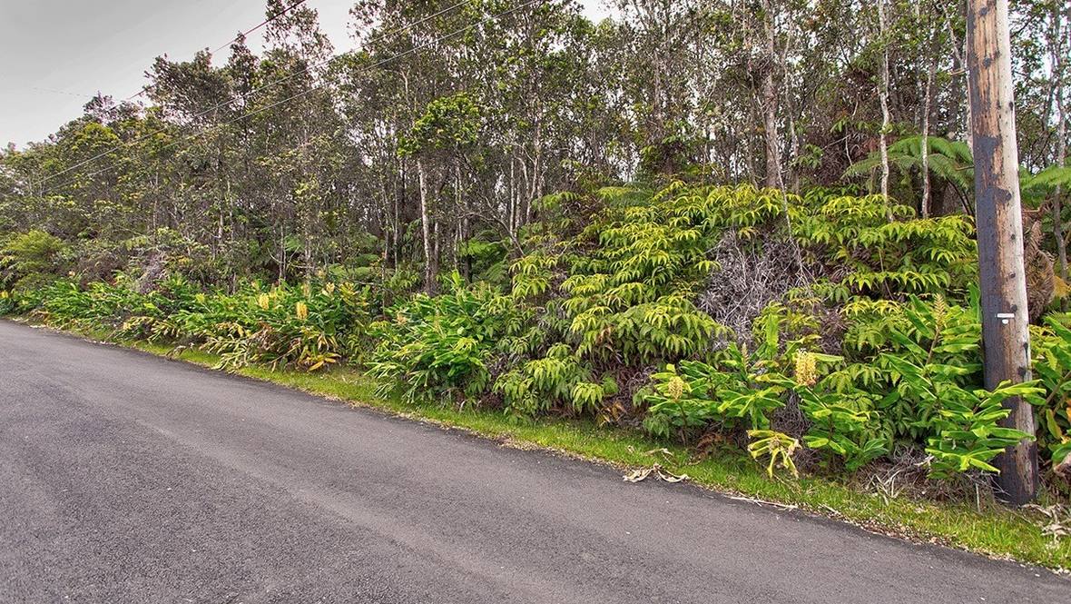 9TH ST Land for Sale in VOLCANO 664811 Renee Hill Hawaii Life