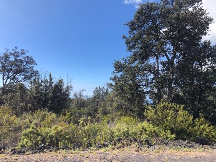 CORAL PKWY Land for Sale in OCEAN VIEW 665172 Raleigh Luitjens