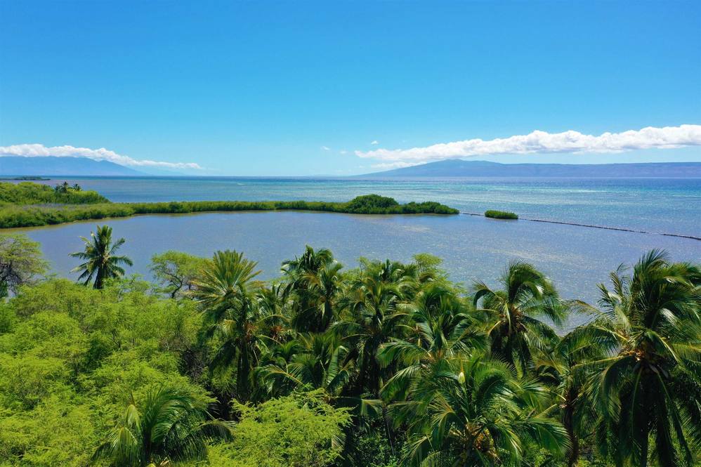 1110 Malino Pl Land for Sale in Kaunakakai 397158 Hawaii Life