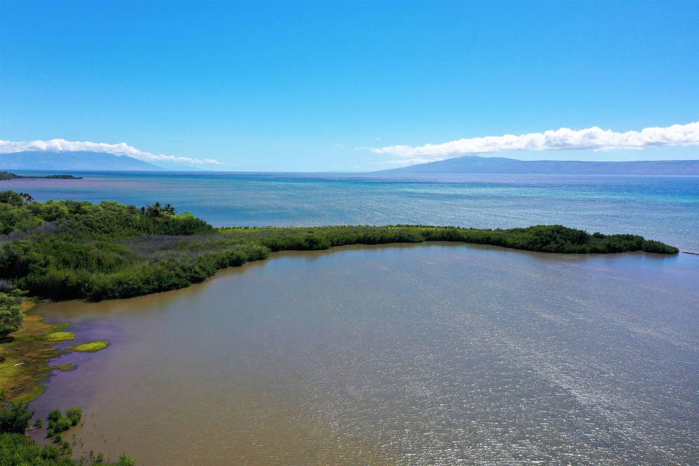 1110 Malino Pl Land for Sale in Kaunakakai 397158 Hawaii Life